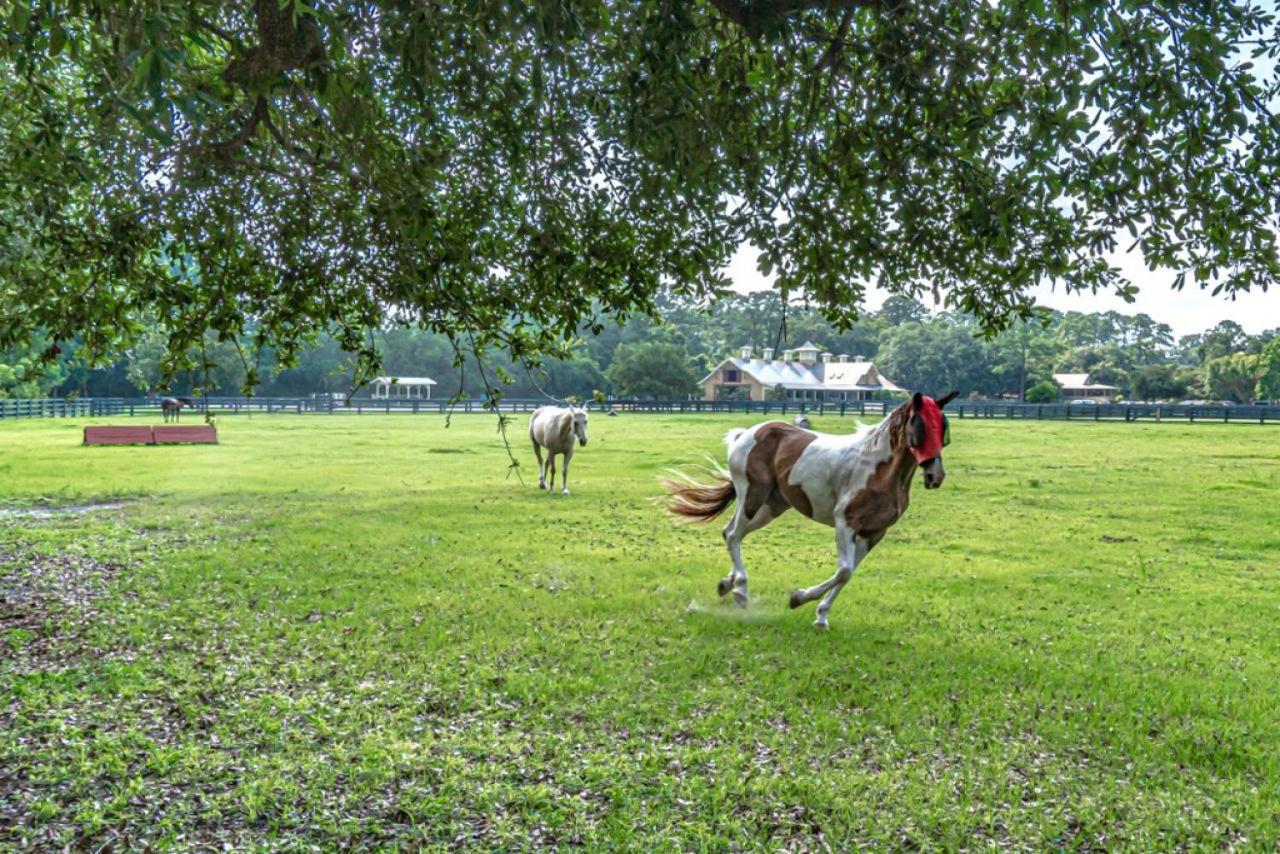 Villa Pet Friendly! 503 Plantation Club Walk To Pool Sleeps 6 Sea Pines Hilton Head Island Esterno foto